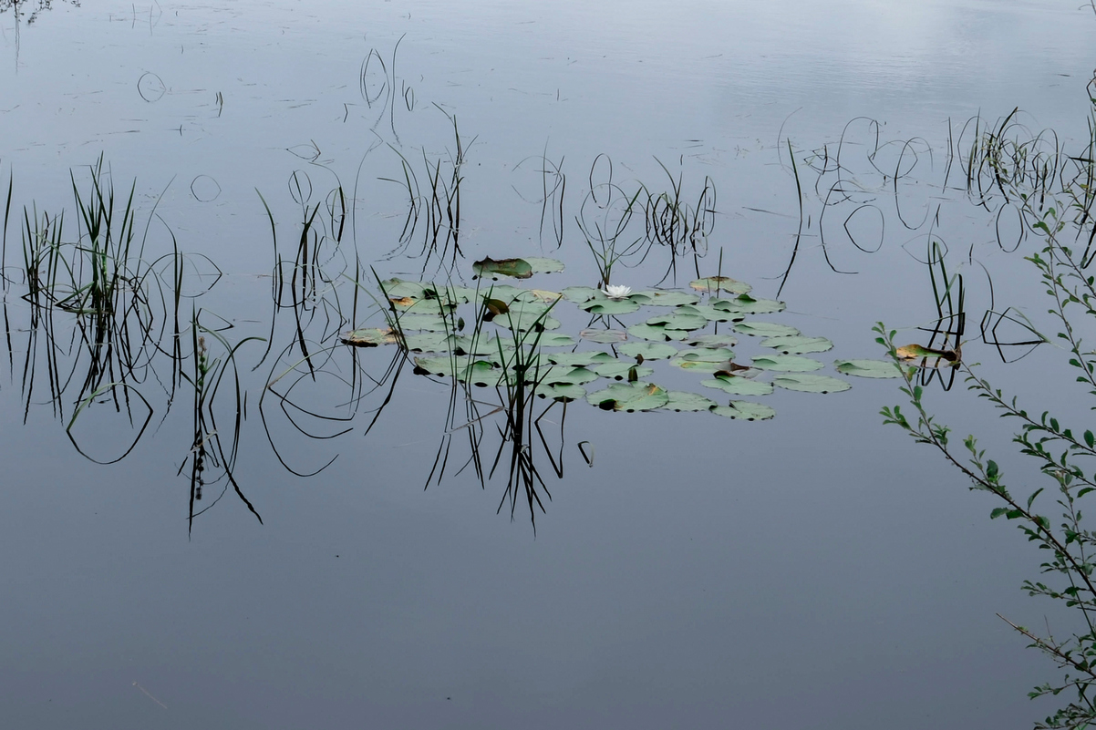 Étang de la passée